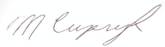 Matt Cupryk Signature